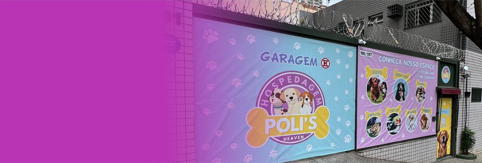 Imagem do Slide